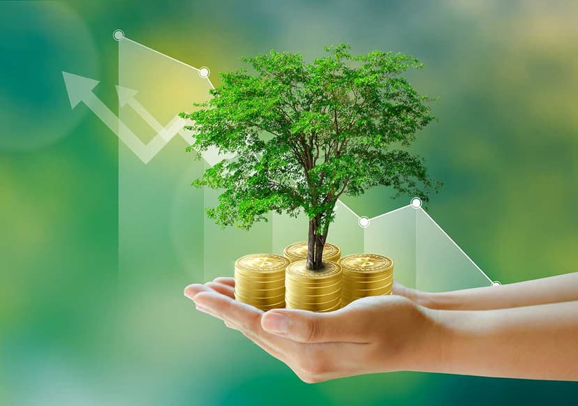 Corporate Social Investment Services